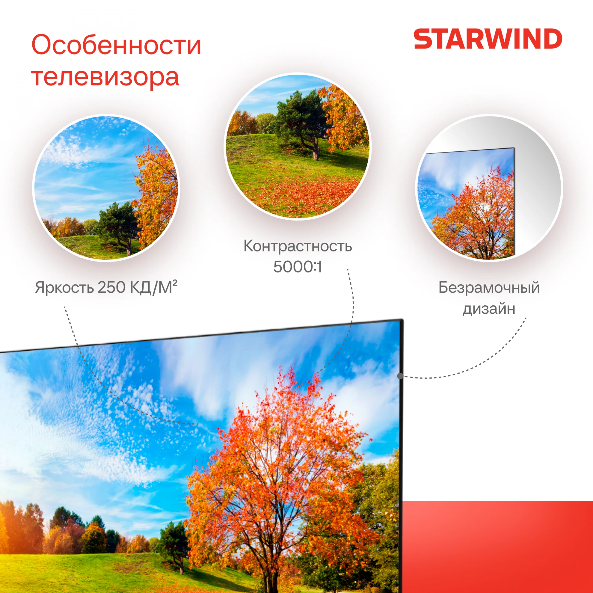 Телевизор LED Starwind 43