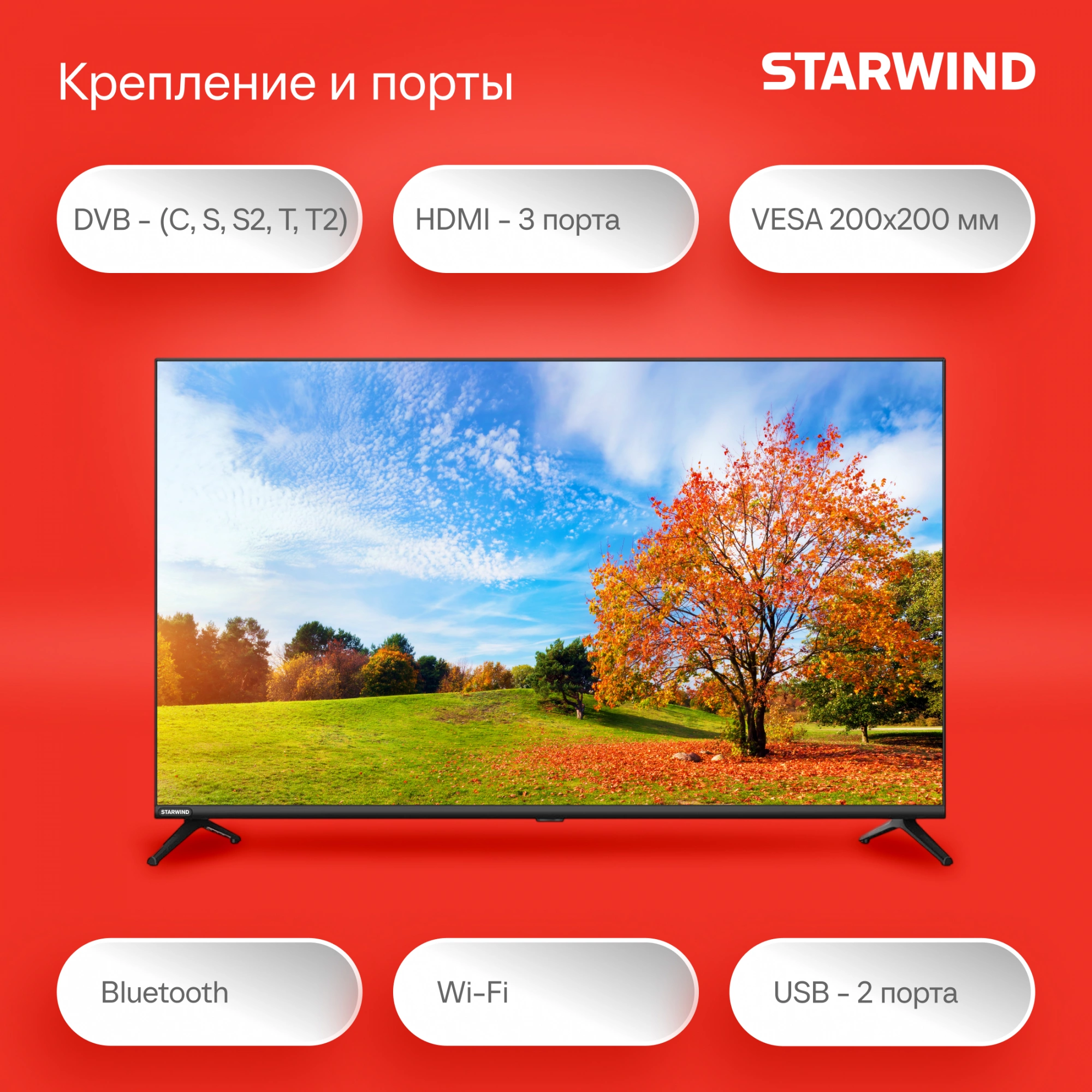 Телевизор LED Starwind 43