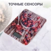 https://static.starwind.com.ru/catalog-photos/317/317446/317446_v03_s.webp
