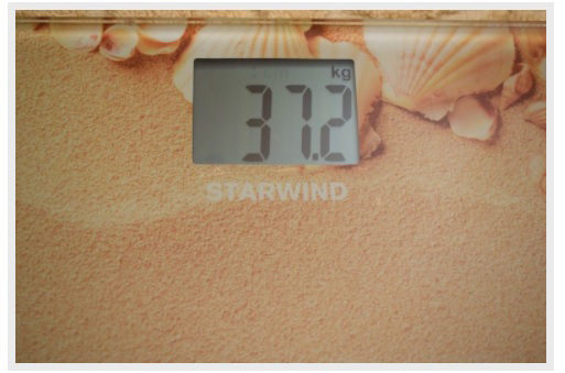 весы Starwind SSP2359