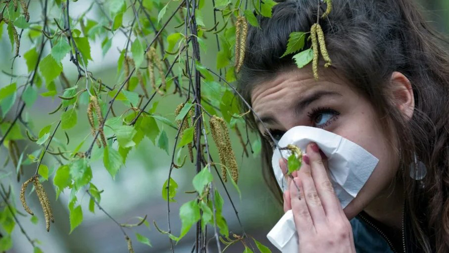 Более 76% жителей нашей страны страдают различными формами аллергии